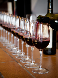 Weintour und -probe Bratislava