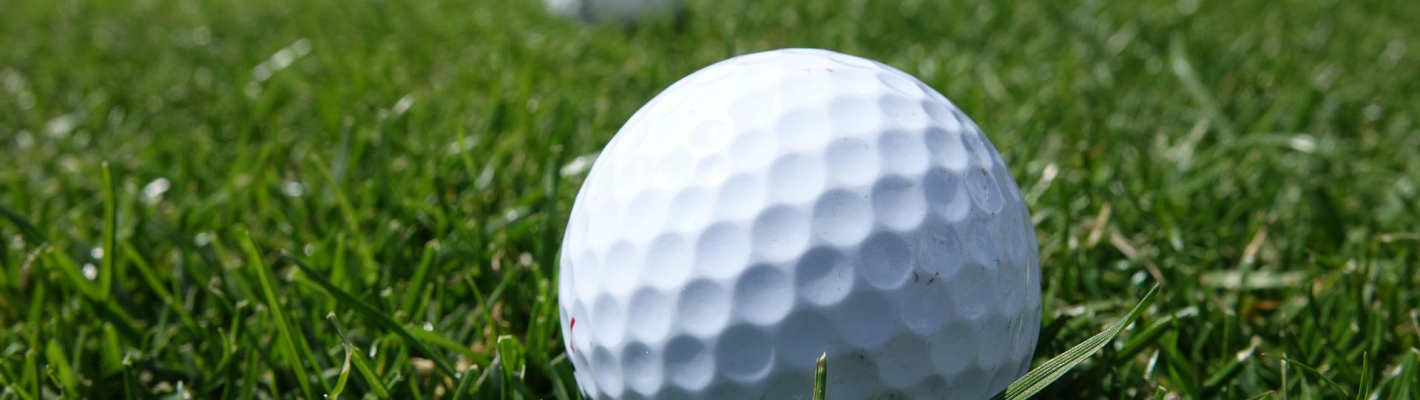 Stuttgart Golfen auf der Driving Range image 1