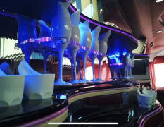 Bukarest Flughafentransfer per Limousine image 3