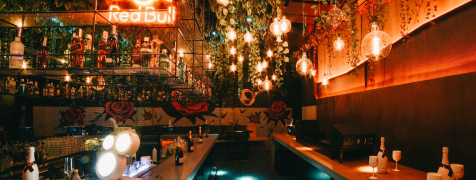Belgrad Privater Pub Crawl image 2