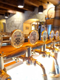 Bierverkostung in einer Taverne Pilsen