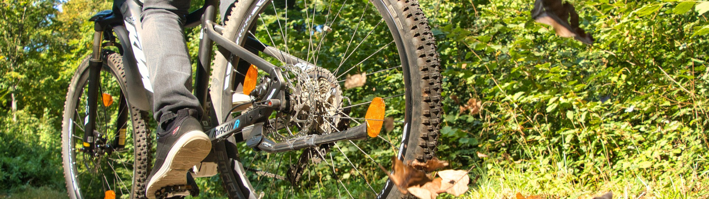 Allgäu E-Bike Tour image 1