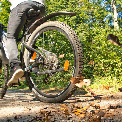 e-mountainbike-im-allgau.jpg image 1