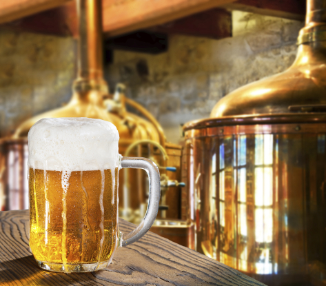 Mikrobrauerei-Tour (U Fleku Brauerei)