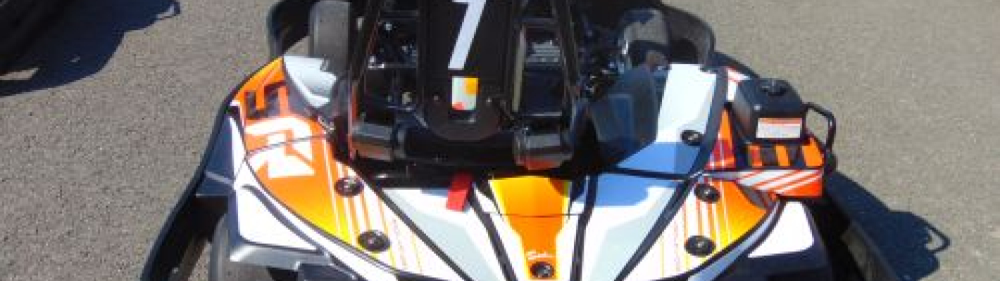 Danzig Outdoor GoKart image 1