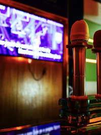 Karaoke-Party Dublin