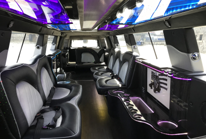 Prag Hummer Limousine image 4