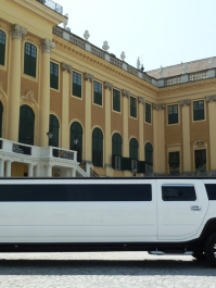 Hummer-Limo & Strip (bis zu 10 Personen) Wien