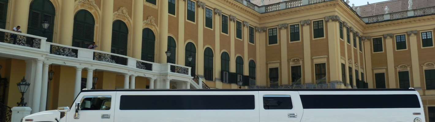 Wien Hummer-Limo & Strip (bis zu 10 Personen) image 1
