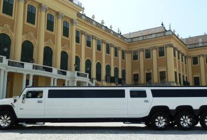Wien Hummer-Limo & Strip (bis zu 10 Personen) image 1