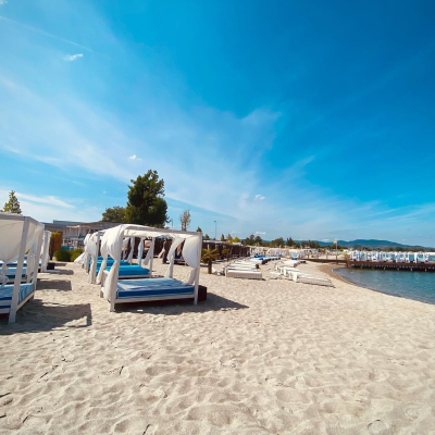 lupa-to.jpeg image 6