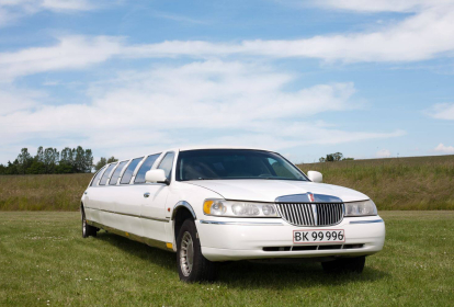 Madrid Lincoln Limousine image 1