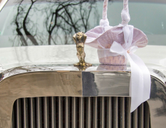 Dresden Excalibur-Stretchlimousine image 3