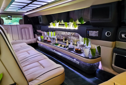 Prag Limousine image 7