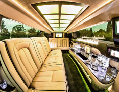 Prag Limousine image 3