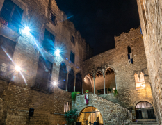 Barcelona Ritteressen mit Mittelalter-Show image 3