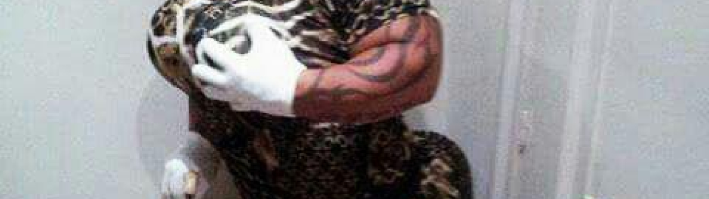 Madrid Zwergen-Drag-Show image 1