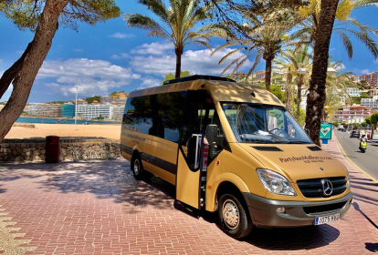 Mallorca Flughafentransfer mit Partybus & sexy Anhalterin image 3