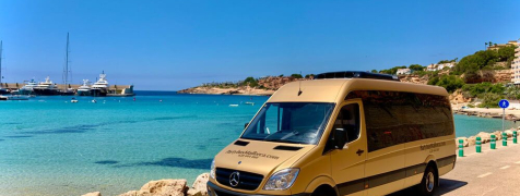 Mallorca Flughafentransfer mit Partybus & sexy Anhalterin image 2