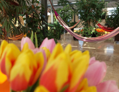 Budapest Chillen in der Therme mit Cocktail image 3