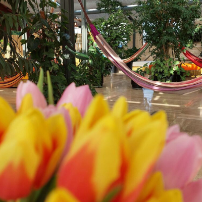 52942663660-1b1bb56dbe-b.jpg image 3