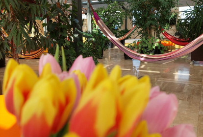Budapest Chillen in der Therme mit Cocktail image 3