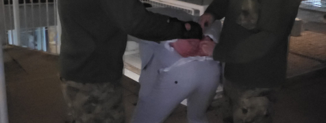 Belgrad Prank: Die Junggesellen-Verhaftung image 2