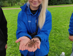 Kopenhagen Historische Schnitzeljagd im Garderhøjfortet image 4