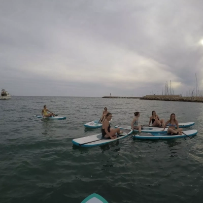 bonaona-giant-paddle-1.webp image 2