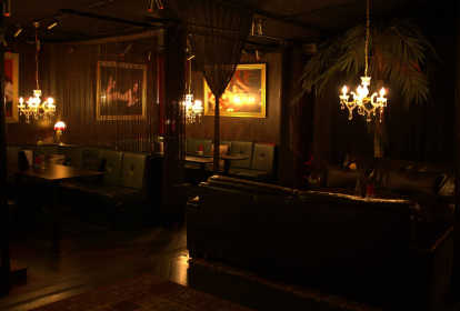 Kopenhagen Besuch im Stripclub image 12