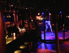 Kopenhagen Besuch im Stripclub image 3