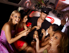 Dublin Limousinen-Flughafentransfer mit Stripshow image 3