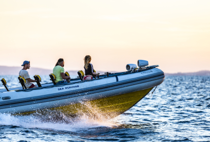 Mallorca Speedboot image 3