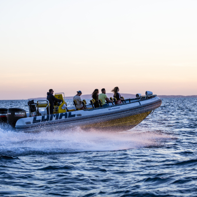 speed-boat-4.jpg image 5