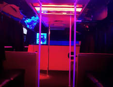 Danzig Partybus image 3