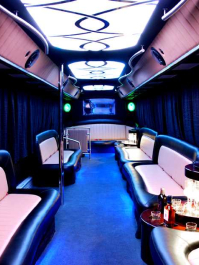 Partybus & Strip Krakau