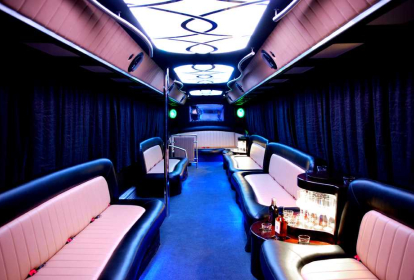 Krakau Partybus & Strip image 1