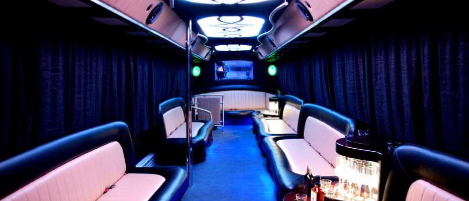 Krakau Partybus & Strip image 1