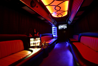 Krakau Partybus & Strip image 2