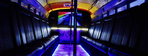 Warschau Partybus image 2