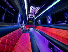 Prag VIP-Shuttle image 3