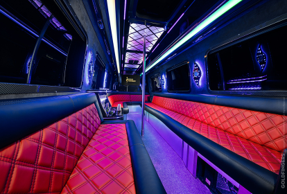 Prag VIP-Shuttle image 3