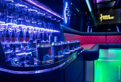 Prag VIP-Shuttle image 5
