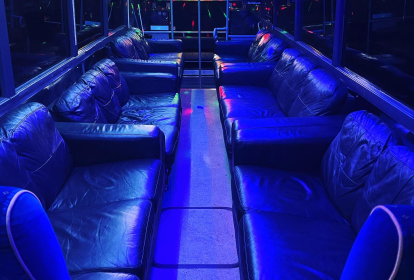 Kopenhagen Partybus image 10