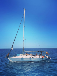 Privates Segelboot (8 Stunden) Mallorca