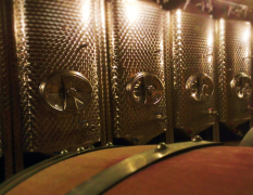 Bratislava Weintour und -probe image 4