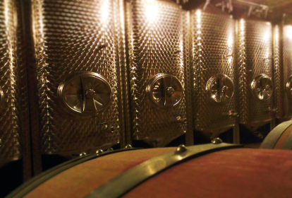 Bratislava Weintour und -probe image 4