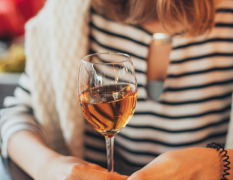 Belgrad Weinverkostung image 4