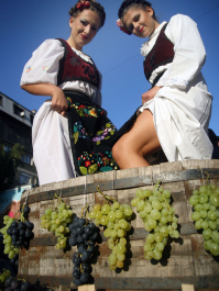 Weinverkostung Belgrad