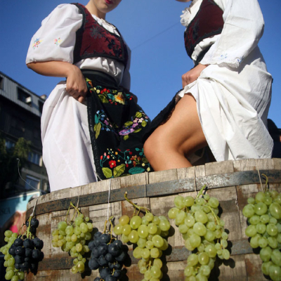 wine-tasting-sremski-karlovci.jpg image 1